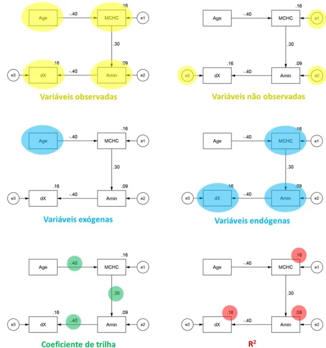 Figura 1.9. Elementos de um diagrama de trilha. 