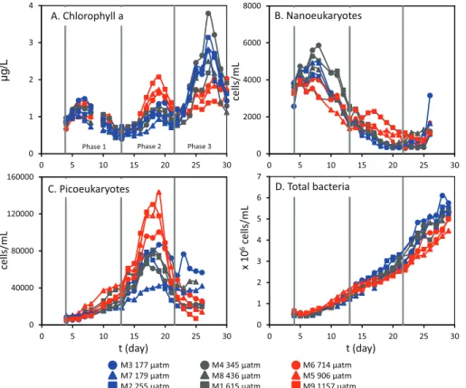 Fig. 1. Concentrations of chlorophyll a (µg l −1 ) (A), nanoeukaryote (B) and picoeukaryote abun- abun-dances (C) (cells ml −1 ) and total bacteria (D) (× 10 6 cells ml −1 ) over the course of the  experi-ment