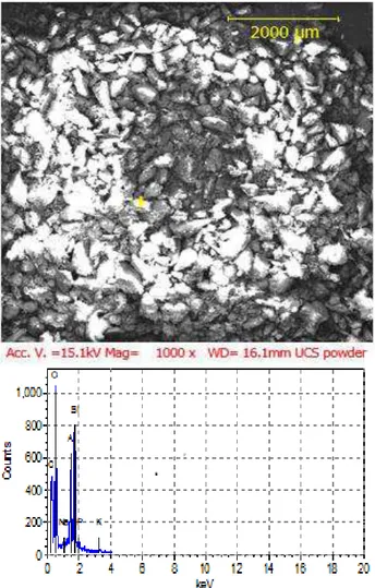 Fig. 3. SEM micrograph/EDS spectrograph of the UCS  powder. 