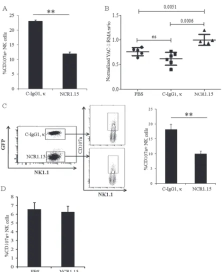 Fig 3. Single dose treatment with NCR1.15 inhibits NKp46-mediated activity on NK cells