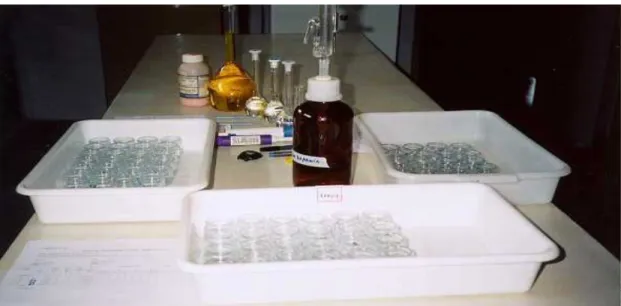 Figura 4. Frascos de vidro utilizados nos testes de sensibilidade das três espécies de daphnia  à substância de referência dicromato de potássio