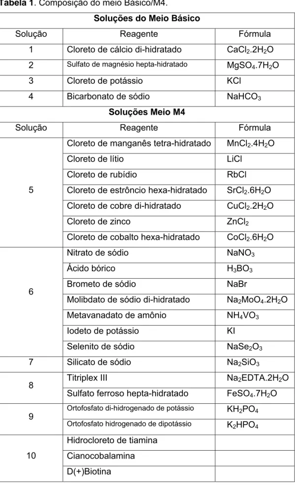 Tabela 1. Composição do meio Básico/M4. 