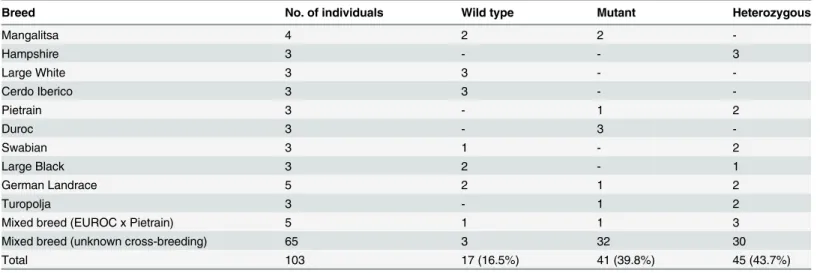 Table 3. Incidence of CLCA4b wild type, mutant and heterozygous pigs in various porcine breeds.