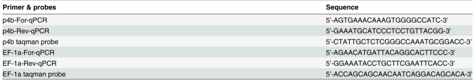 Table 2. Primers used for quantitative RT-PCR investigation.