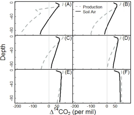 Fig. 10. Comparison of production and soil air 14 CO 2 profiles from dynamic simulations of 1-D diﬀusion.