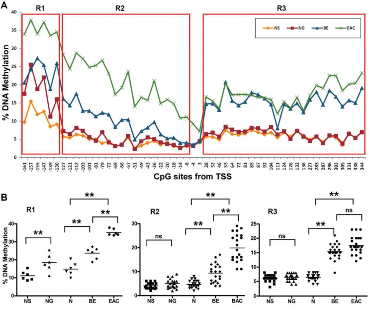 Figure 2. Biphasic changes of DNA methylation levels in MT3 promoter region from 2160 to +344