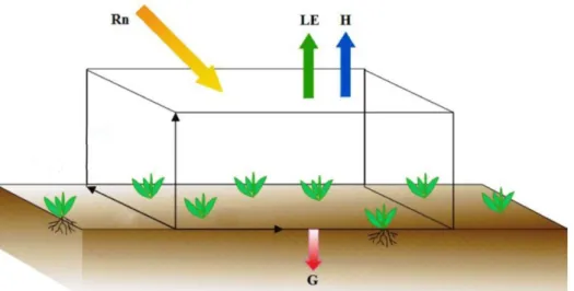 Figura 2 – Fluxos do balanço de energia, Rn (Saldo de Radiação, G (Fluxo de Calor no Solo, H (Fluxo de  Calor Sensível) e LE (Fluxo de Calor Latente) 