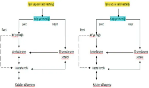 Şekil 2. Yapısal kalp hastalığı olan ve olmayan hastalarda AF ablasyon seçimi için önerilen algoritm [5]