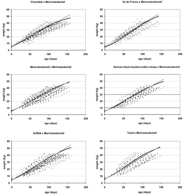 Figure 1. Estimated growth function for Gompertz (black) and linear model (grey) for different crossbred lambs and purebred Merinoland- Merinoland-schaf lambs; body weight (kg) plotted against age (days).
