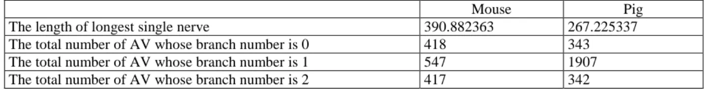 Table 3.  Comparison of Purk neurons morphological characteristics of Mouse and Pig 