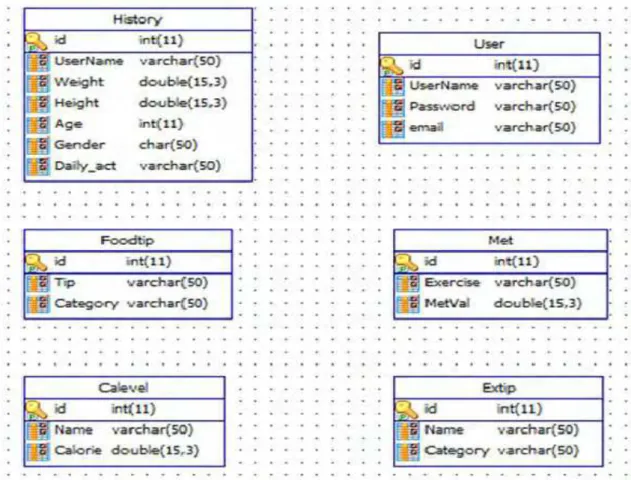 Figure 8 :System database as designed and implemented in MicroOlap software 