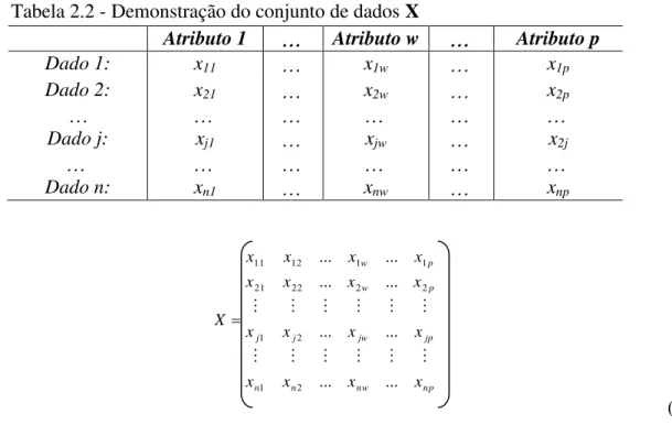 Tabela 2.2 - Demonstração do conjunto de dados X 