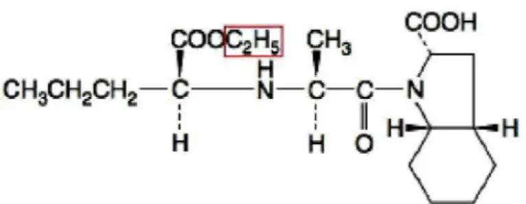 Figura 4: Estrutura química do Perindopril. A estrutura incluída no retângulo vermelho será  removida por esterase e substituída por um átomo de hidrogênio para formar a molécula 