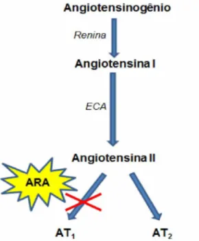 Figura 5:  Bloqueio do receptor de angiotensina II (AT 1 ), pela ação pela ação dos ARAs.