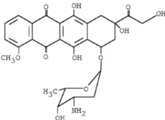 Figura 7:  Estrutura química da doxorrubicina. Fonte:  Patel et al. (1997).