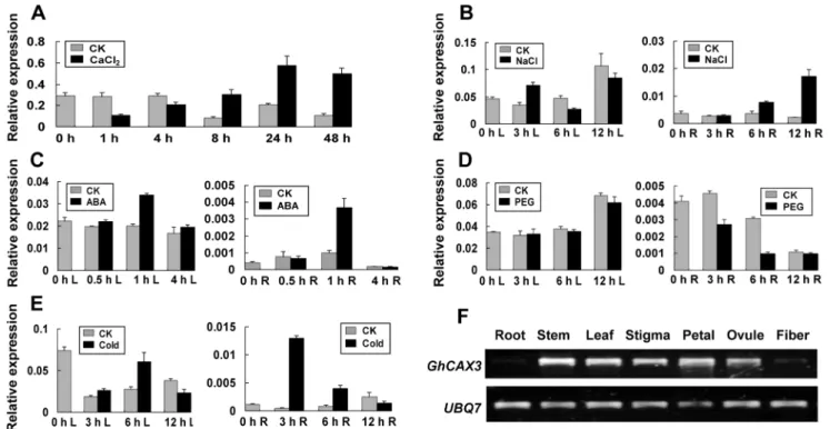 Figure 1. Expression pattern analysis of GhCAX3 in cotton responsive to various treatments