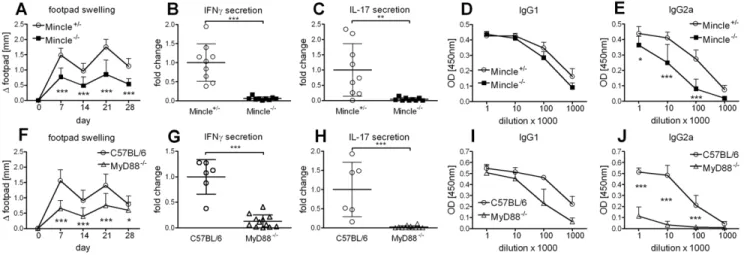 Figure 1. Mincle and MyD88 are required for DDA/TDB adjuvanticity. Footpad swelling (A), IFNc, IL-17 (B, C) secretion and H1-specific antibodies (D, E) in Mincle 2/2 and littermate controls