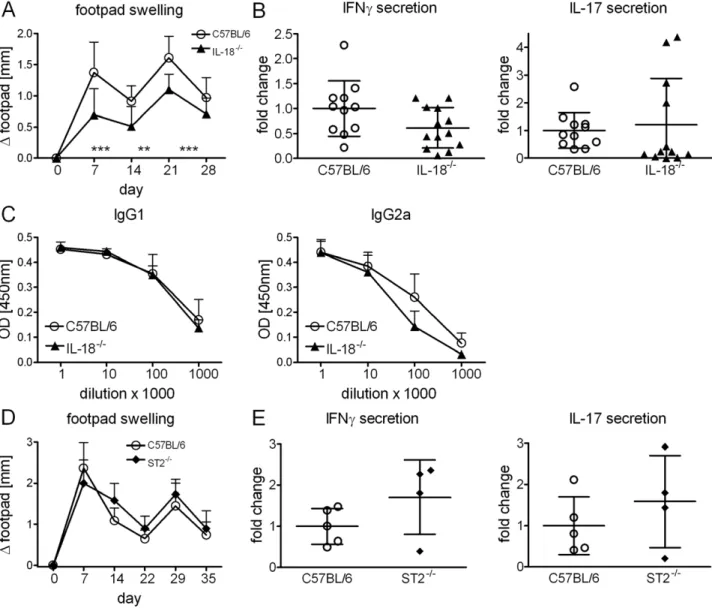 Figure 5. IL-18 and IL-33 are dispensable for DDA/TDB adjuvanticity. Footpad swelling (A), IFNc, IL-17 secretion of cells isolated from the draining lymph nodes (B) and H1-specific antibodies (C) in IL-18 2/2 and C57BL/6 controls