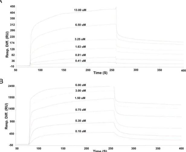 Figure 2. Kinetic analyses of interactions between tensin2 SH2 domain and nonphosphorylated/phosphorylated peptides by SPR.