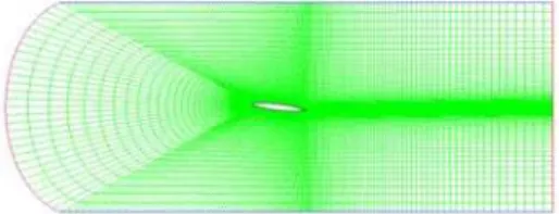 Fig. 1. Schematic diagram of the flow field  around a CAV2003 hydrofoil with boundary 
