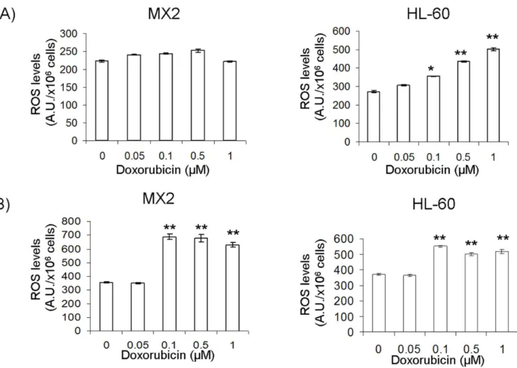 Figure 5. Genipin treatment enhances the production of ROS by doxorubicin. ROS levels were assessed in intact HL-60 and MX2 cells using DCFH-DA