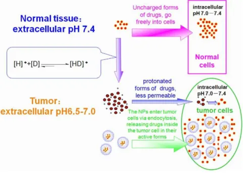 Figure 1. The cause of PIPDR and the reversion of PIPDR by NPs. [D] stands for drugs and [H] + stands for the proton.