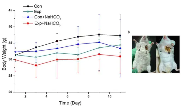 Fig. 6.b), indicating that at day5, the antitumor effect in the subgroup free Tet+NaHCO 3 was better and that of free Tet.