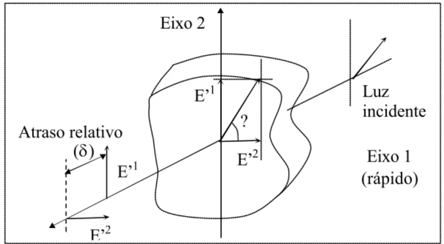Figura 8 – Esquema da luz incidindo sobre um retardador de onda.