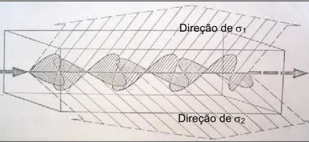 Figura 9  –  Ondas  luminosas  plano-polarizadas em modelo birrefringente: 3 ¾ de  onda  são  mostrados  no  primeiro  plano  e  3  ½  ondas  no  segundo  plano: 