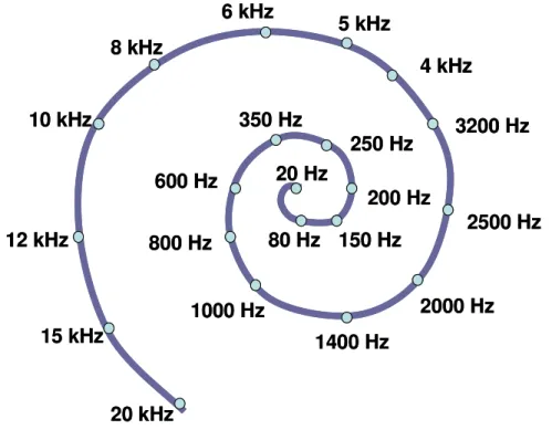 FIGURA 9 - Representação da distribuição das freqüências ao longo da membrana basilar [22]