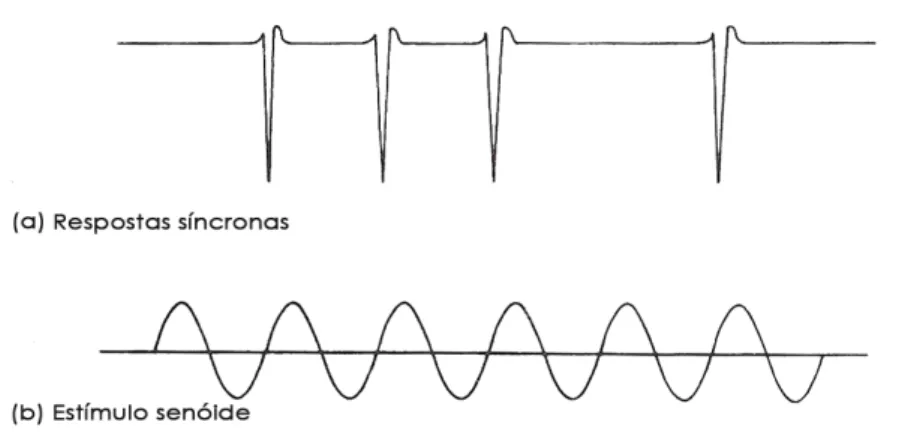 FIGURA 10 - Resposta da atividade neural de uma fibra do nervo auditivo por estimulação  a  uma  onda  sonora  senoidal