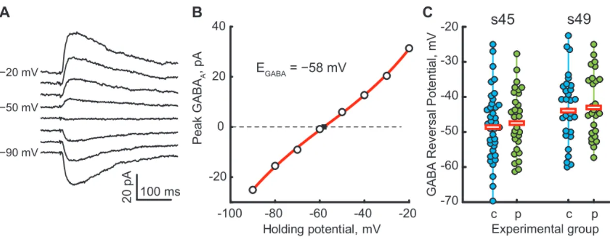 Figure 4. Spatial gradient of GABAR reversal potential in the OT. A. All cells that had their position within OT recorded (n = 105), for both stages and ACSF formulations, shown projected onto open right OT outline