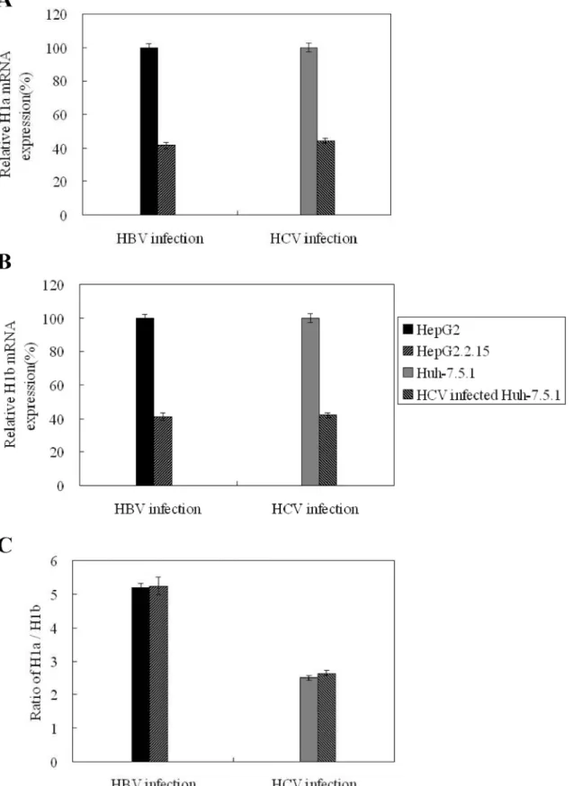 Figure 6. ASGPR H1b expression in hepatoma cells with and without viral replication. The expression levels of ASGPR H1a (A) and H1b (B) transcripts were determined by real-time PCR