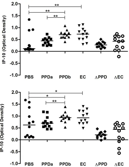 Fig 1. IP-10 release in response to antigenic stimulation after (A) 24 h and (B) 48 h