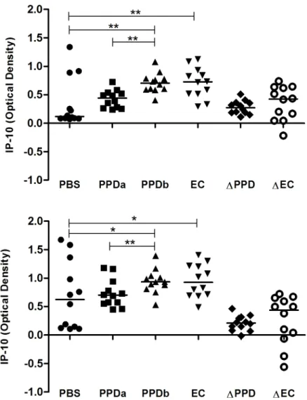 Fig 1. IP-10 release in response to antigenic stimulation after (A) 24 h and (B) 48 h