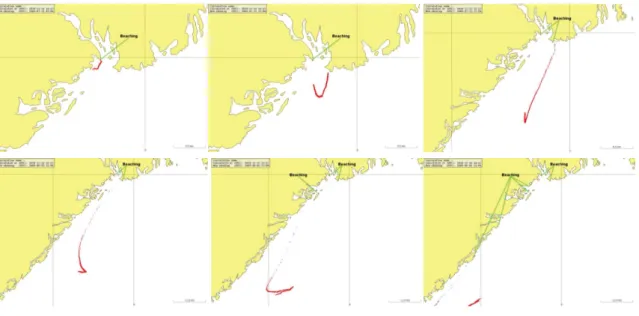 Fig. 10. The Seatrack Web oil drift simulation performed by DAMSA. The figures show the output 6, 12, 24, 36, 48, 60 h after the initial release of oil.