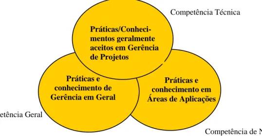 Figura 2: Competências do Gerente de projetos.  