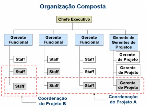 Figura 10: Estrutura Organizacional Composta. 