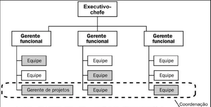 Figura 5: Organização Matricial Balanceada  Fonte: PMI 2004, Pág.: 30 