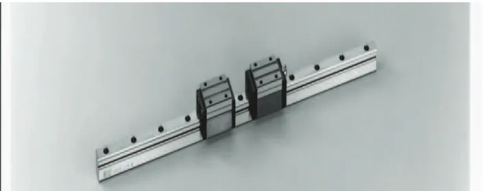 Fig. 2  LM Guideway with two Blocks[3] 