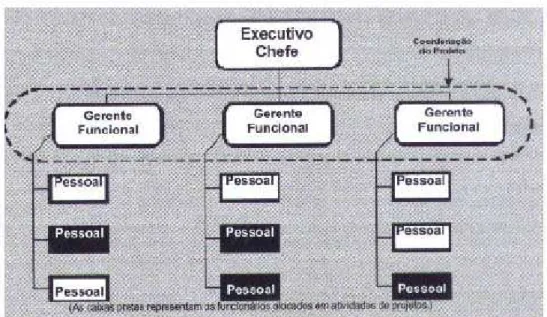 Figura 7 – Organograma hierárquico (PMI, 2004) 