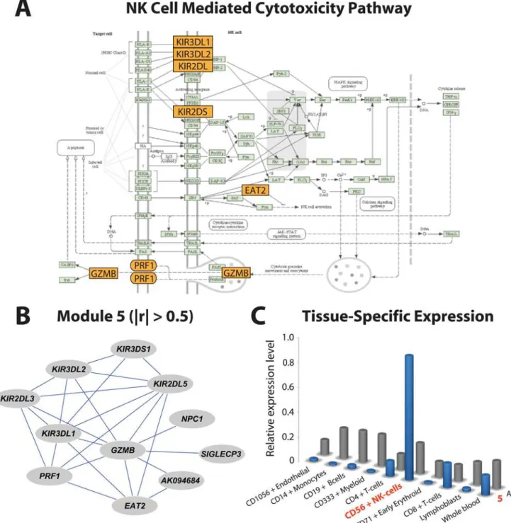 Figure 7. Illustration of module-specific enrichment of pathways and tissues. (A) Representation of the NK cell mediated cytotoxicity KEGG pathway