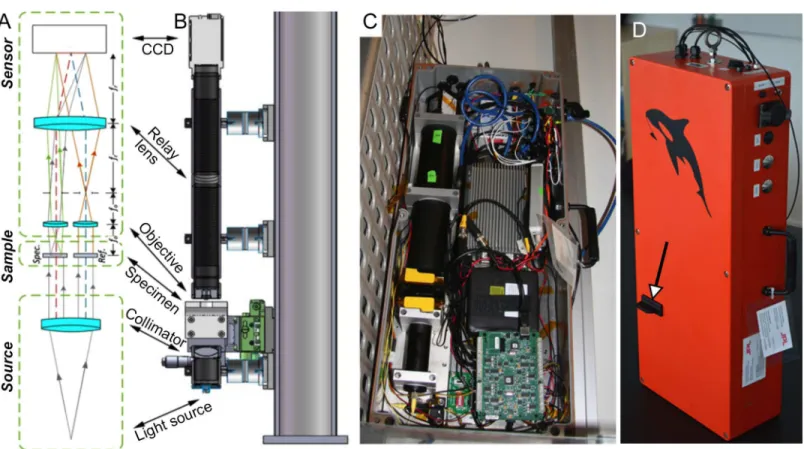 Fig 3. Schematic and images of the compact, twin-beam digital holographic microscope. (A) Schematic showing four main elements (discussed in the text): the source, the sample (specimen path is labeled Spec
