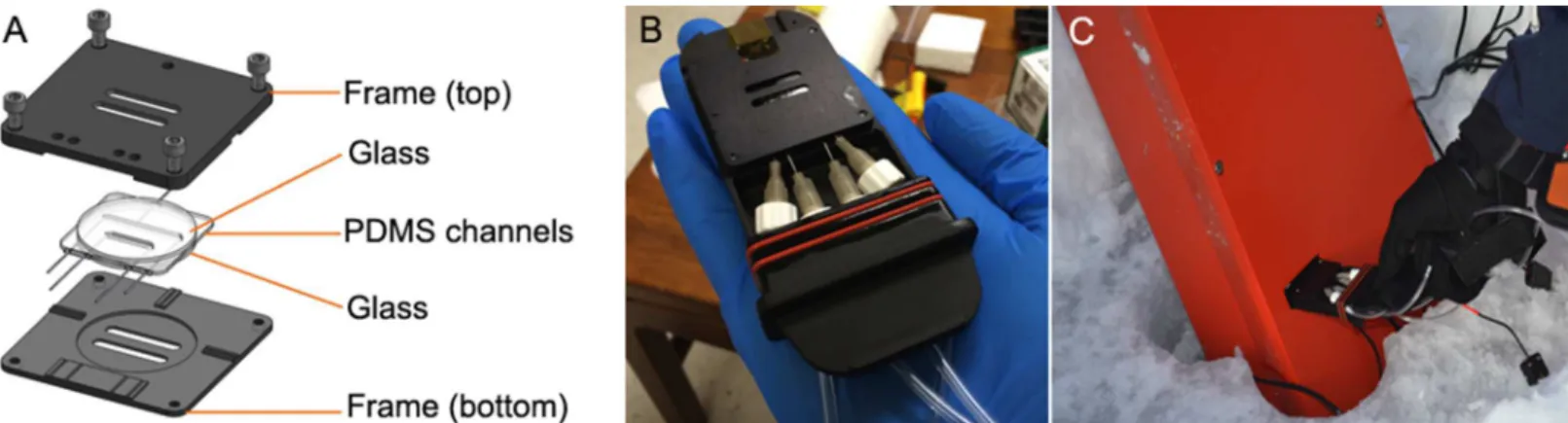 Fig 4. Sample chamber design. (A) Chambers had two PDMS channels, one for the reference beam and one for the object beam