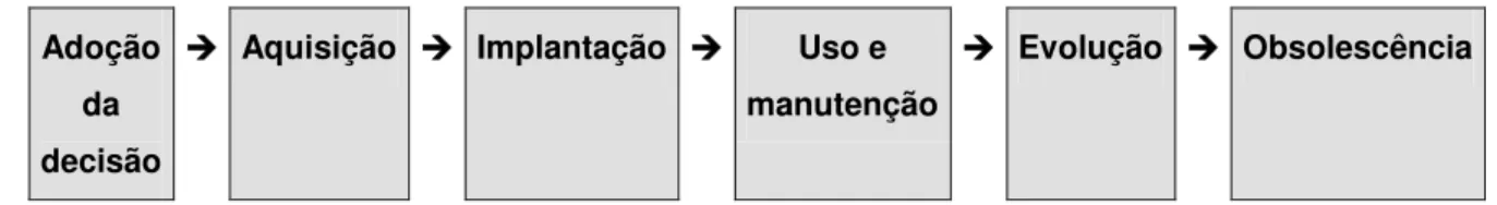 Figura 4: Ciclo de vida do sistema ERP  Fonte: elaborado livremente. 