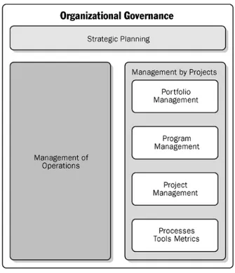 Figura 8: Governança organizacional 
