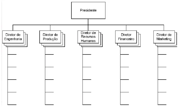 Figura 9: Estrutura funcional 