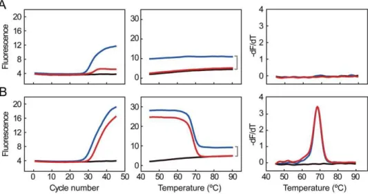Figure 3. A 2-color FMCA assay for mutations scanning. A) The alignment of the four probes along the 81-bp region of rpoB gene of M.