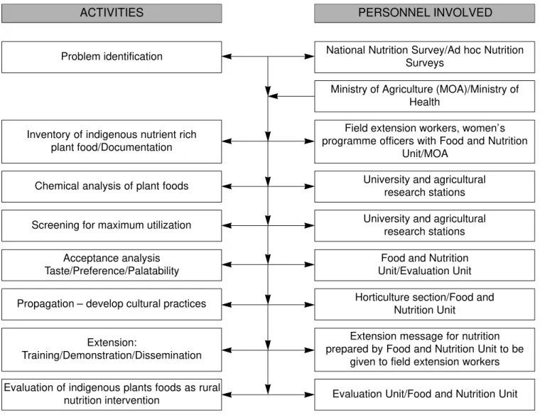 Figure 2. A model of the process of utilizing indigenous plant foods in rural nutrition intervention — Un modèle de la démarche destinée à l’utilisation des aliments provenant des plantes indigènes lors d’intervention rurale dans le secteur de la nutrition