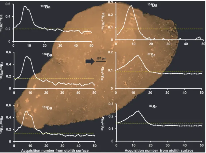 Fig 1. Six mark enriched stable isotope fingerprint. Scans of six enriched isotope markers, 137 Ba, 136 Ba, 135 Ba, 134 Ba, 86 Sr and 87 Sr in the otolith of Atlantic salmon parr successfully delivered during vaccination at a concentration of 1 μg